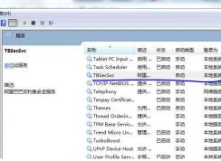 Win7系統(tǒng)中tbsecsvc是什么進(jìn)程？tbsecsvc.exe占用CPU高的刪除方法