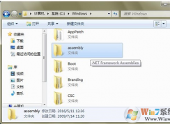 assembly是什么文件夾？可以刪除嗎？