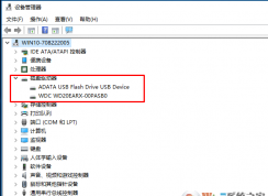 bios檢測有兩個硬盤，但是進(jìn)入windows系統(tǒng)只顯示一個硬盤怎么辦？