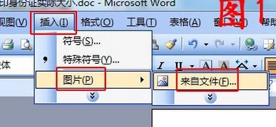 怎么把身份證掃描到一張紙上？身份證正反面在同一張紙上打印的方法