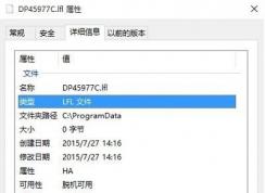 dp45977c是什么文件？dp45977c.lfl怎么刪除？