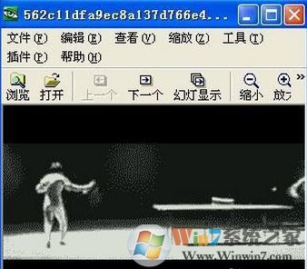 gif怎么打開(kāi)？win7系統(tǒng)打開(kāi)gif格式文件的方法