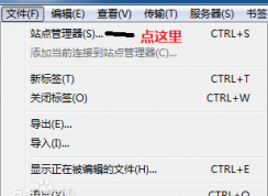 Filezilla怎么用？Filezilla使用教程