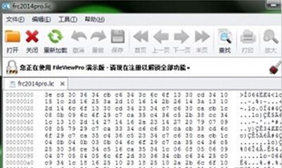 lic文件怎么打開？lic格式文件打開亂碼的解決方法