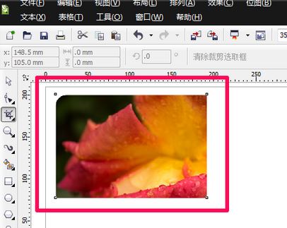 cdr裁剪工具怎么用？cdr軟件中裁剪工具使用方法