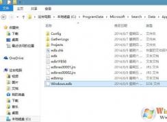 Windows.edb很大是什么？Windows.edb怎么刪除？