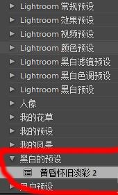 lr預(yù)設(shè)怎么導(dǎo)入？教你導(dǎo)入lr預(yù)設(shè)的詳細操作方法