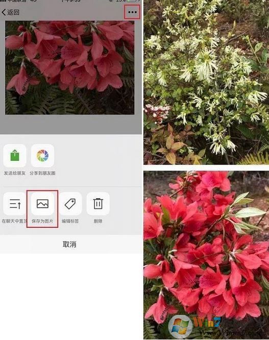 手機(jī)怎么截長(zhǎng)圖？教你蘋果手機(jī)截長(zhǎng)圖操作方法