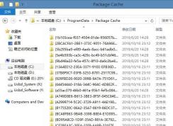 Package Cache是什么文件夾,可以刪除嗎？