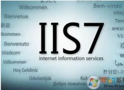 IIS(網(wǎng)站無(wú)法啟動(dòng))Windows Process Activation Service (WAS) 服務(wù)無(wú)法啟動(dòng)