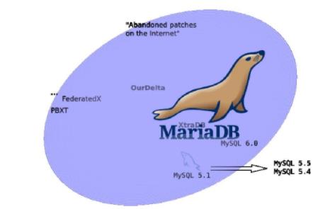 Win10如何安裝mariaDB數(shù)據(jù)庫軟件？mariaDB下載+安裝+配置教程