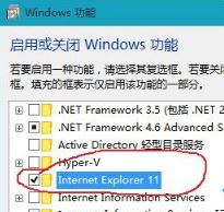 win10系統(tǒng)網(wǎng)頁圖片加載不出來該怎么辦？網(wǎng)頁圖片不顯示的解決方法
