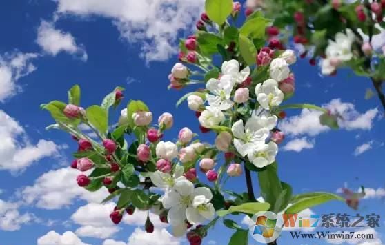 ps色彩范圍怎么用？教你PS使用色彩范圍來摳圖的方法
