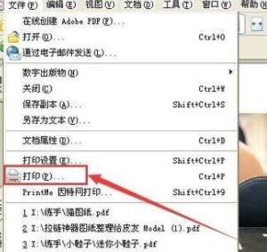 PDF格式怎么打印？pdf文件快速打印的操作方法