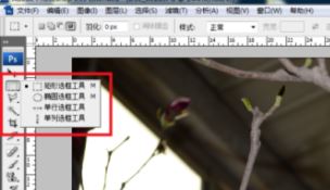 ps局部放大怎么調？PS放大局部位置的操作方法（含快捷鍵）