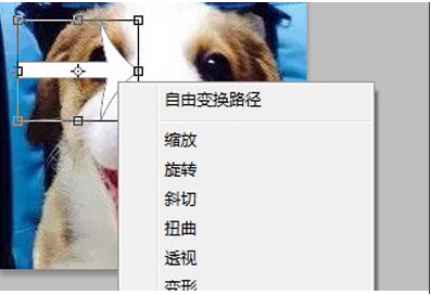 PS旋轉(zhuǎn)圖片,PS怎么旋轉(zhuǎn)圖片、圖層？