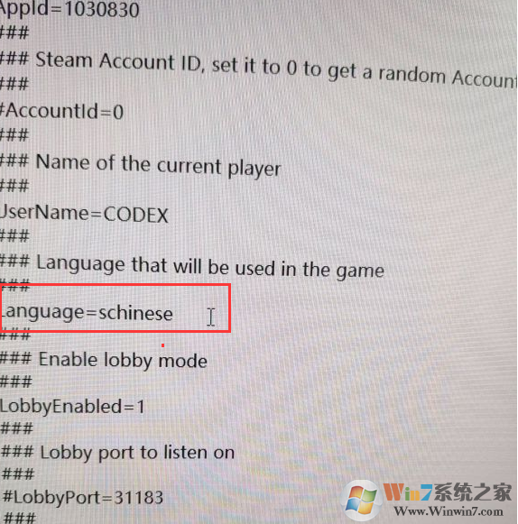 四海兄弟2怎么設(shè)置中文？四海兄弟2英文調(diào)中文方法