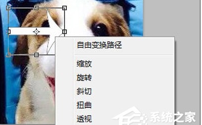 ps怎么旋轉(zhuǎn)圖片？Photoshop旋轉(zhuǎn)圖片教程