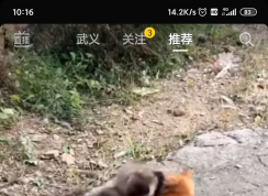 抖音直播怎么開通？抖音直播開通方法