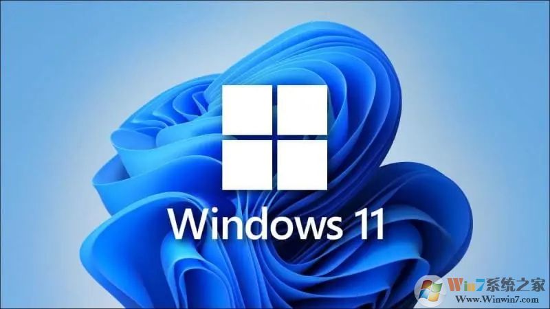 Win11家庭版和專業(yè)版有什么區(qū)別？Win11家庭版和專業(yè)版哪個好用？