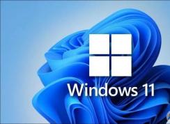 Win11家庭版和專業(yè)版有什么區(qū)別？Win11家庭版和專業(yè)版哪個好用？