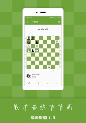 國(guó)象聯(lián)盟國(guó)際象棋