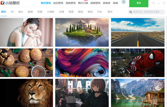 360小鳥(niǎo)壁紙