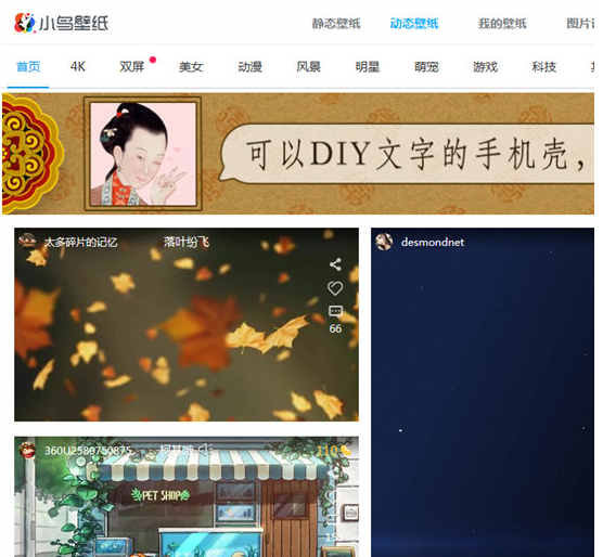 360小鳥(niǎo)壁紙