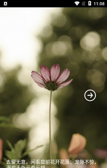 薔薇書(shū)院