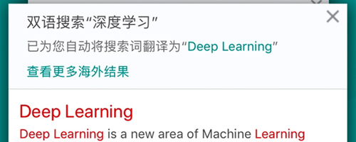 必應國際版軟件特色