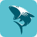 鯊魚(yú)影視2022最新版