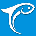 鳳臺(tái)小魚網(wǎng)