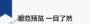 九龍圖庫APP