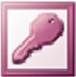 Access2003(數(shù)據(jù)庫管理軟件)