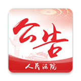 人民法院公告網查詢系統(tǒng)