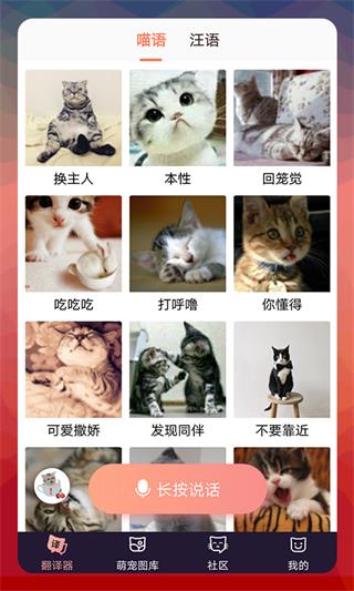 貓語(yǔ)翻譯器免費(fèi)版