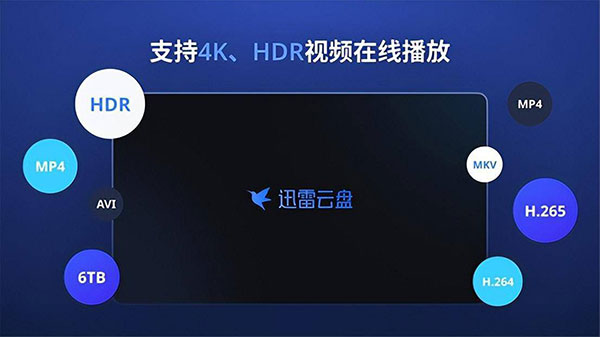迅雷云盤(pán)TV版安裝包