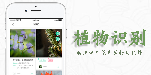手機(jī)植物識別軟件大全_免費(fèi)植物識別APP_植物識別掃一掃APP