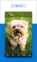 OneDrive(微軟云盤APP)