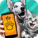 動(dòng)物翻譯器(Pet Translator)2023最新版