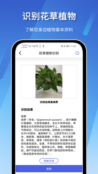 智慧識圖下載