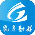 愛嵐皋手機官方版