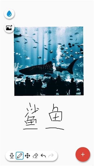 畫(huà)畫(huà)天才