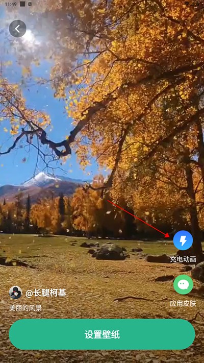 叮咚壁紙