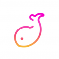伴魚音樂(lè)2025