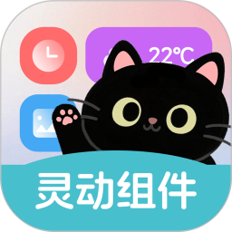 靈動(dòng)皮膚小組件