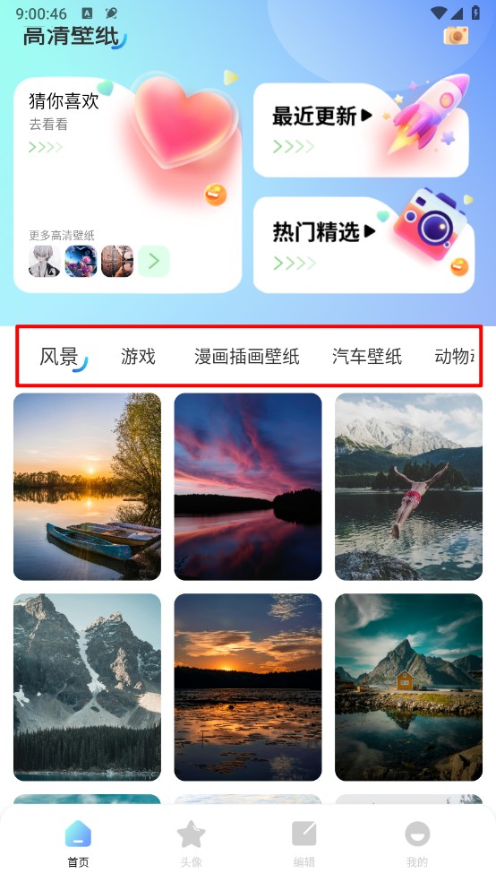 海豚壁紙
