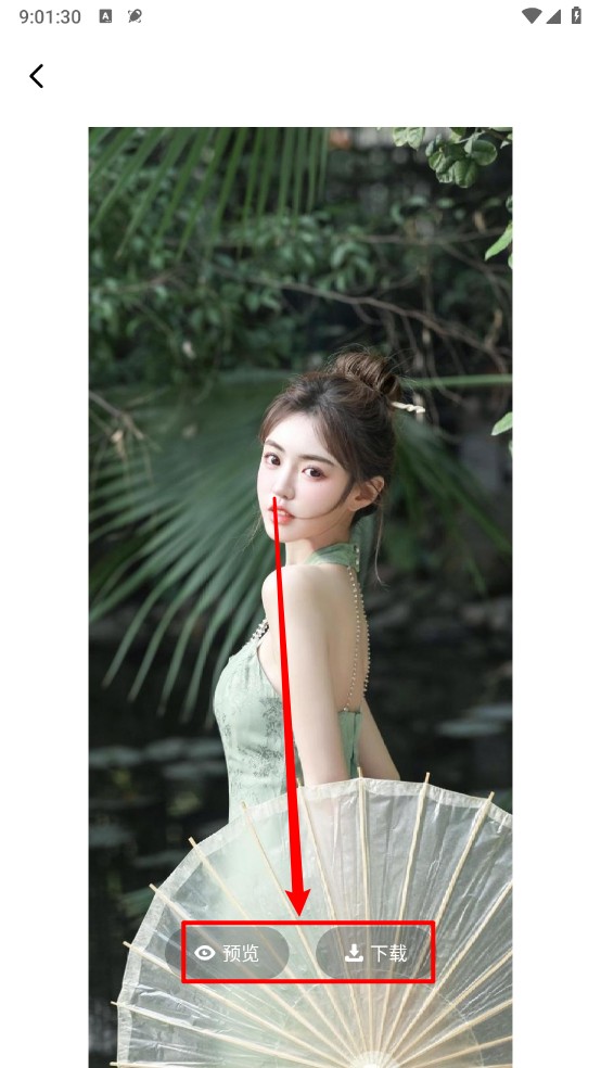 海豚壁紙