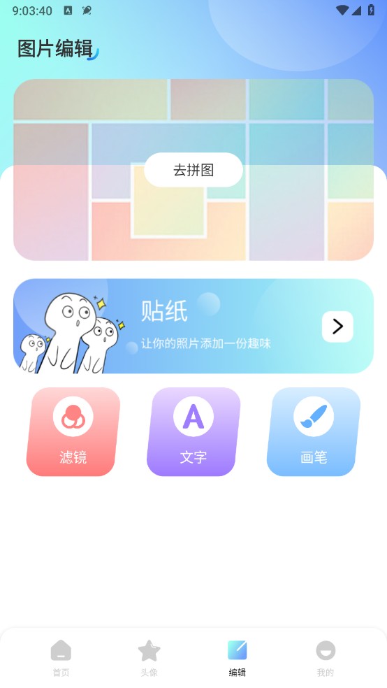 海豚壁紙