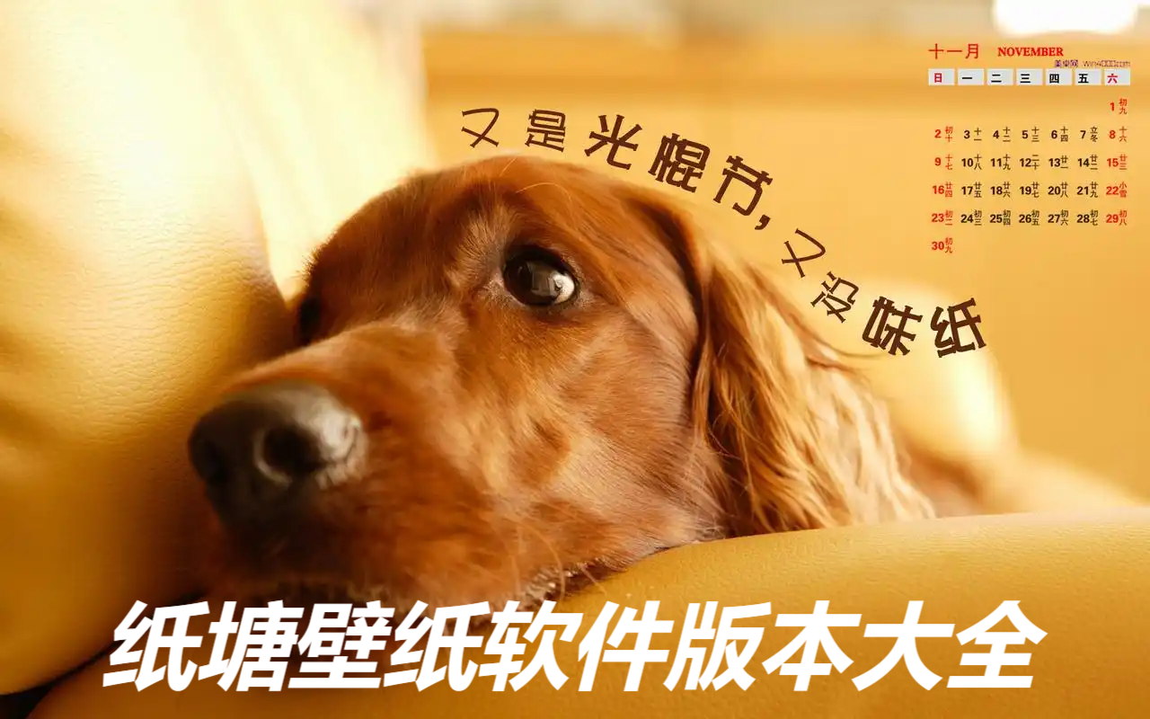 紙?zhí)帘诩埲堪姹竞霞?紙?zhí)帘诩埌姹敬笕?紙?zhí)帘诩埫赓M版/專業(yè)版/安卓版